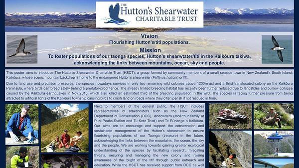 The Hutton's Shearwater Charitable Trust: Community led conservation action