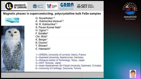 Magnetic phases in superconducting, polycrystalline bulk FeSe samples