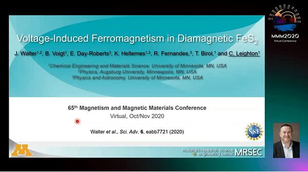 Voltage-induced Ferromagnetism in Diamagnetic FeS2