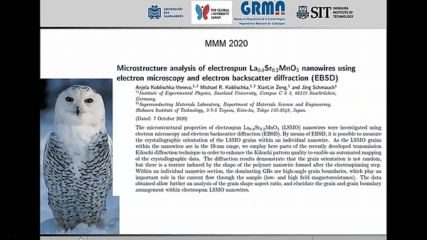 Microstructure analysis of electrospun La0.8Sr0.2MnO3 nanowires using electron microscopy and electron backscatter diffraction (EBSD)