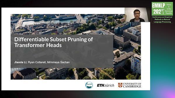 Differentiable Subset Pruning of Transformer Heads