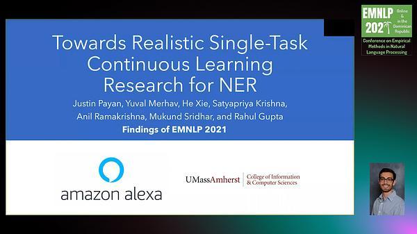 Towards Realistic Single-Task Continuous Learning Research for NER