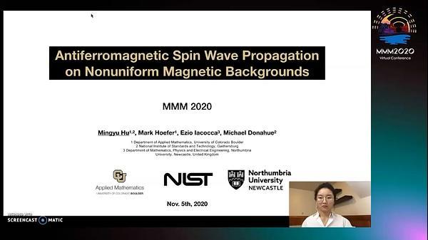 Antiferromagnetic Spin Wave Propagation on Nonuniform Magnetic Backgrounds