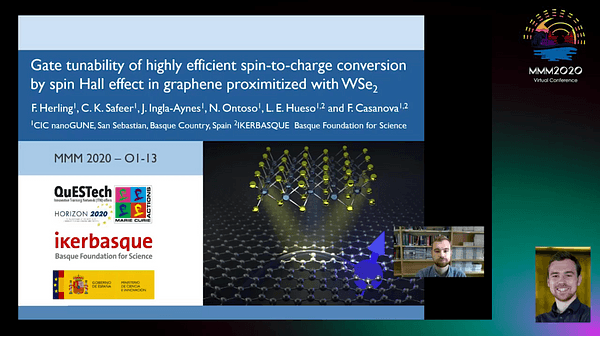 Proximity-Induced Spin Hall Effect in Graphene/WSe2 van der Waals Heterostructures with Tunable, Highly Efficient Spin-to-Charge Conversion