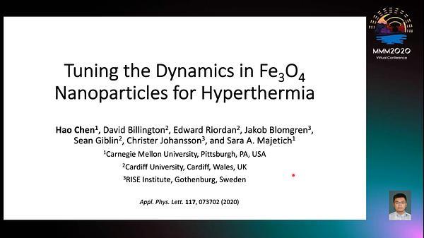 Tuning the Dynamics in Fe3O4 Nanoparticles for Hyperthermia Optimization