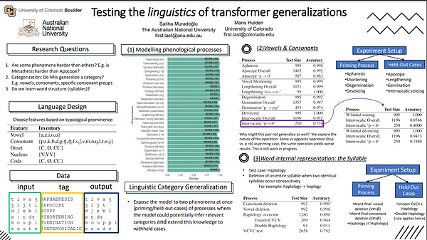 Testing the linguistics of transformer generalizations
