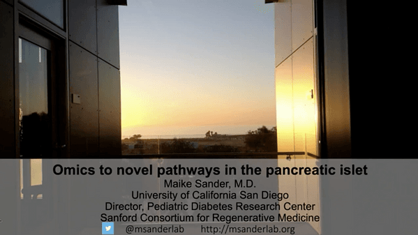 Omics to Novel Pathways in the Pancreatic Islet