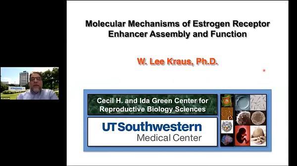 Molecular Mechanisms of Estrogen Receptor Enhancer Assembly and Function