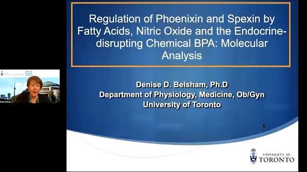 Regulation of Phoenixin and Spexin by Fatty Acids, Nitric Oxide and the Endocrine-disrupting Chemical BPA: Molecular Analysis