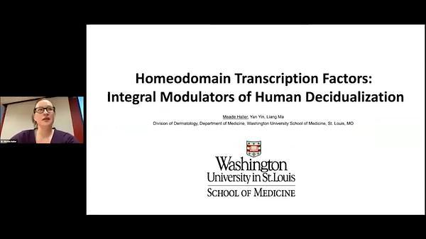 Homeodomain Transcription Factors: Integral Modulators of Human Decidualization