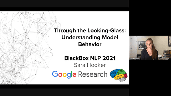 Through the Looking-Glass: Understanding Model Behavior