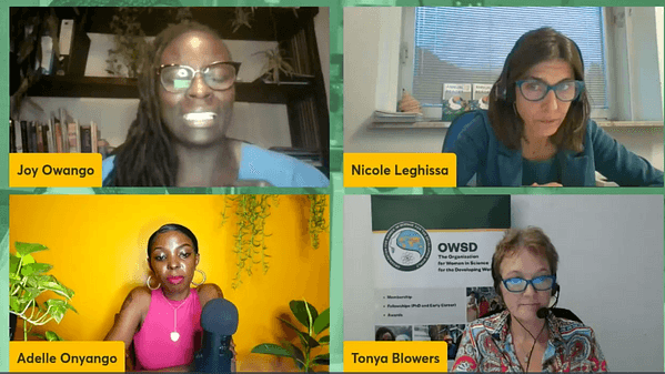 Storytelling for Impact: a conversation