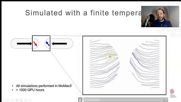 Magnetic Texture Fluctuations in Coupled Mesospin Systems