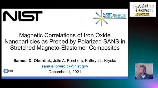 Magnetic Correlations of Iron Oxide Nanoparticles as Probed by PASANS in Stretched Magnetogel Composites