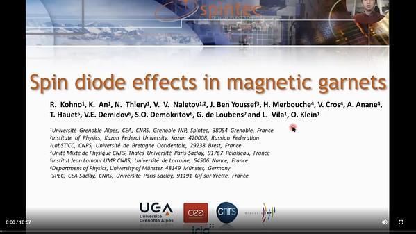 Spin diode effect in magnetic garnets