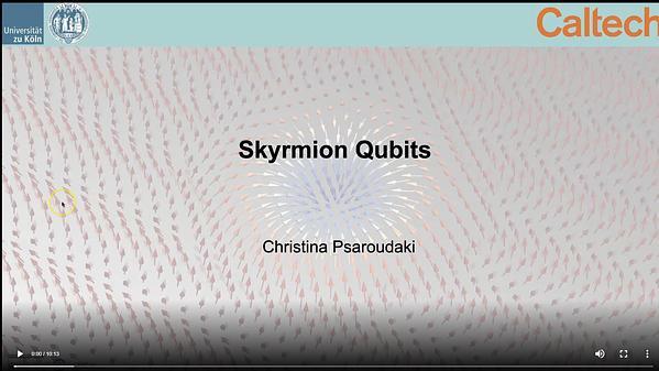 Skyrmion Qubits: A New Class of Quantum Logic Elements Based on Nanoscale Magnetization