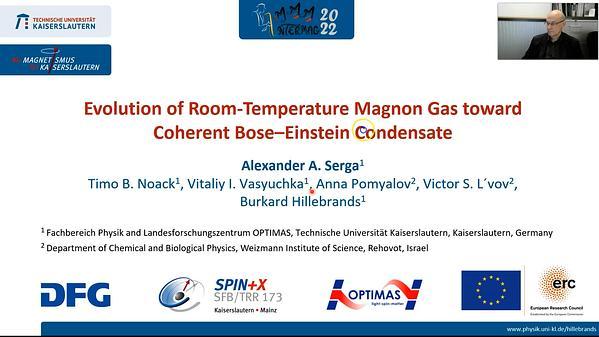 Evolution of Room-Temperature Magnon Gas toward Coherent Bose–Einstein Condensate