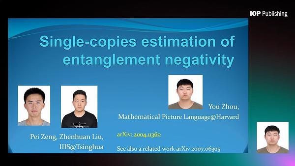 Single-Copies Estimation of Entanglement Negativity