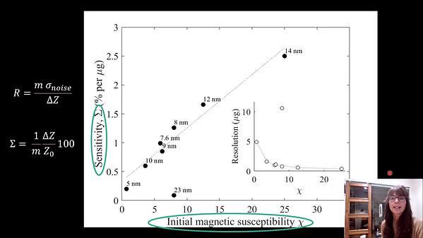 Magnetic Techniques for Rapid Diagnostic Testing for Health Care and Environmental Monitoring