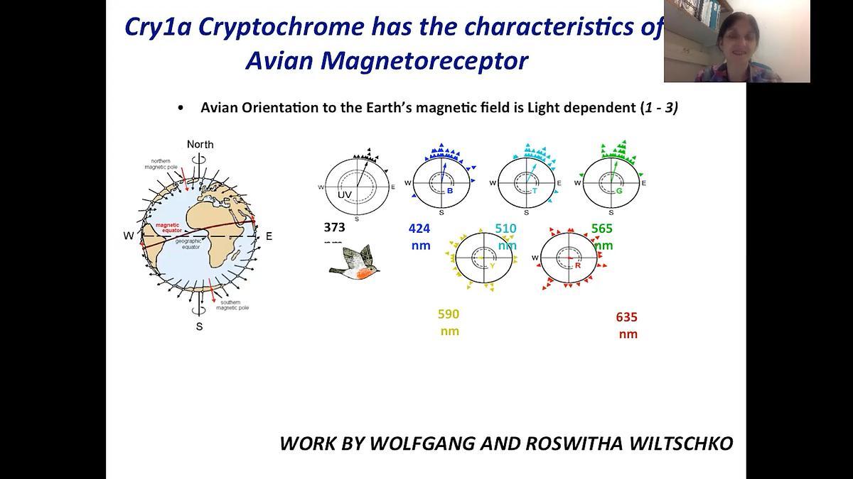 Lecture image placeholder