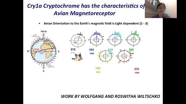 Cry1a Cryptochrome has the Characteristics of a Receptor for Avian Magnetosensing