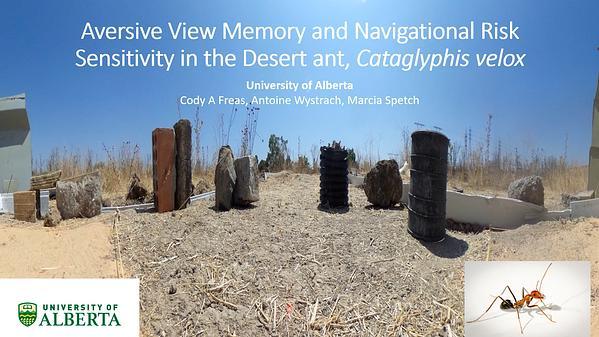 Aversive View Memory and Risk Sensitivity in the Navigating Desert Ant, Cataglyphis Velox