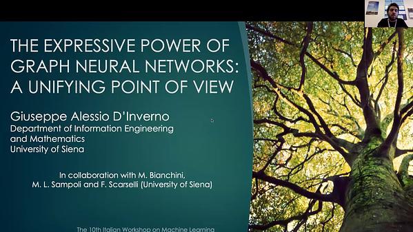 The expressive power of Graph Neural Networks: a unifying point of view