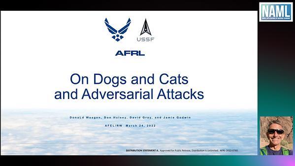 On Dogs and Cats and Adversarial Attacks