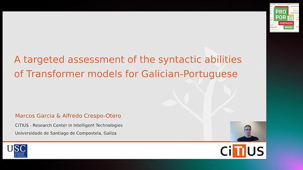 A Targeted Assessment of the Syntactic Abilities of Transformer Models for Galician-Portuguese