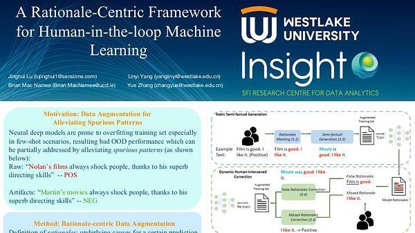 A Rationale-Centric Framework for Human-in-the-loop Machine Learning
