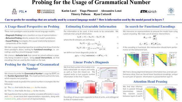 Probing for the Usage of Grammatical Number