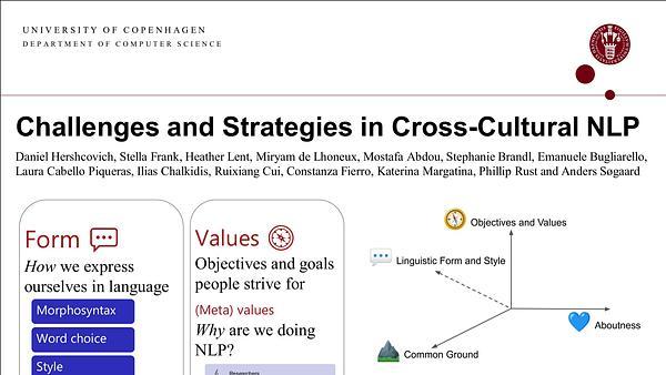 Challenges and Strategies in Cross-Cultural NLP