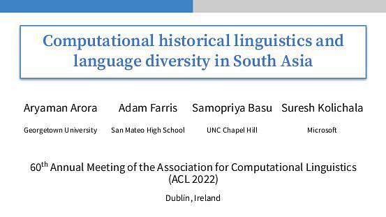 Computational Historical Linguistics and Language Diversity in South Asia