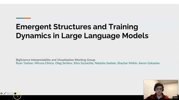 Emergent Structures and Training Dynamics in Large Language Models