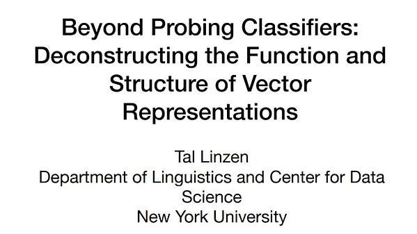 Beyond Probing Classifiers: Deconstructing the Function and Structure of Vector Representations