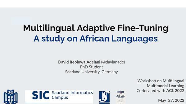 Multilingual Adaptive Fine-Tuning: A study od African Languages