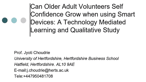 Bridging the Digital Divide in Ethnic Minority Older Adults: An Organisational Qualitative Study