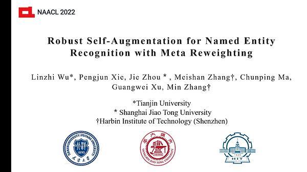 Robust Self-Augmentation for Named Entity Recognition with Meta Reweighting