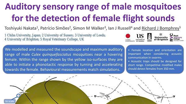 Auditory sensory range of male mosquitoes for the detection of female flight sound