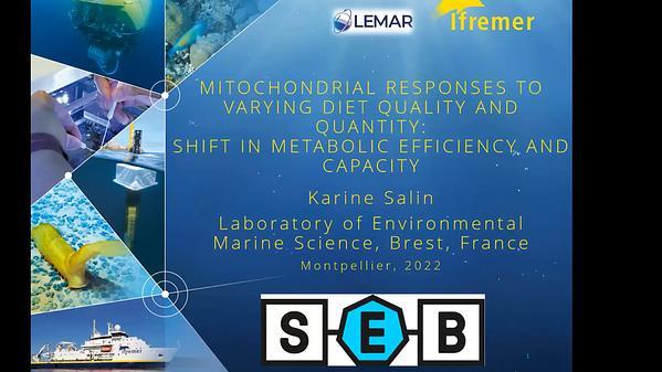 Mitochondrial responses to varying diet quality and quantity: shift in metabolic efficiency and capacity.
