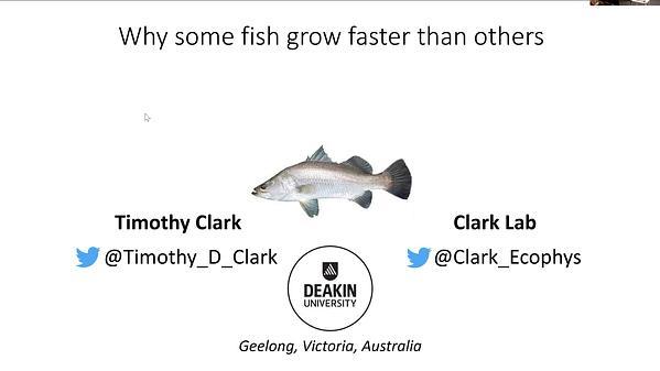 Why some fish grow faster than others: examining the interplay between metabolic phenotype, predator threat and growth performance