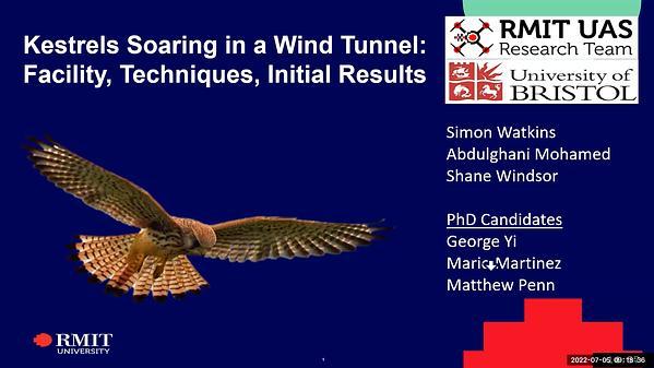 Studying Kestrels Soaring in a Wind Tunnel: The Facility, Techniques and Initial Results