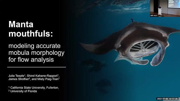 Manta mouthfuls: modeling accurate mobula morphology for flow analysis
