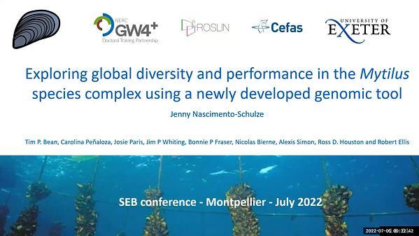 Exploring genomic diversity within the blue mussel species-complex