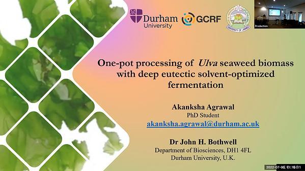 One-pot processing of Ulva seaweed biomass with deep eutectic solvent-optimized fermentation
