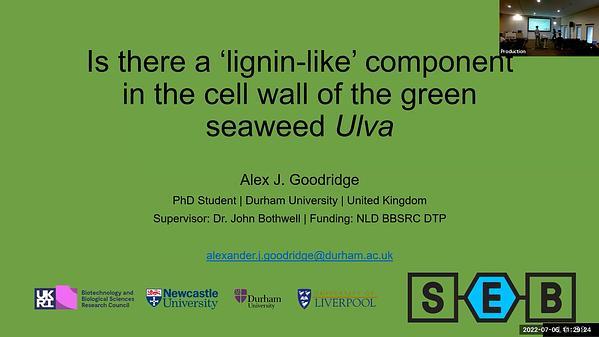 Characterisation of 'phycolignin' in the cell wall of chlorophyte seaweeds