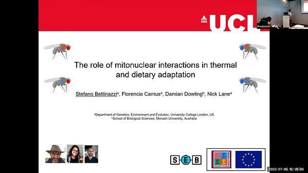 The role of mitonuclear interactions in thermal and dietary adaptation