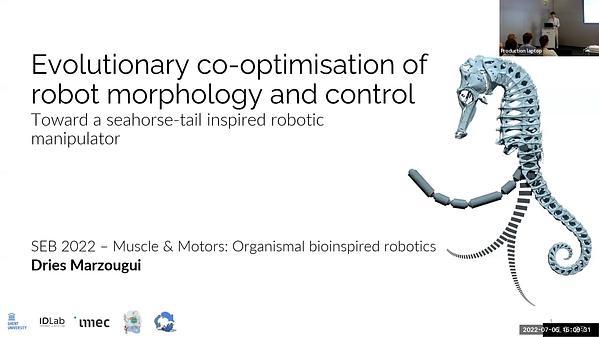 Evolutionary co-optimisation of robot morphology and control: toward a seahorse-tail inspired robotic manipulator