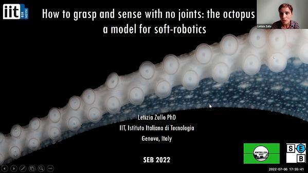 How to grasp and sense with no joints: the octopus as a model for soft-robotics