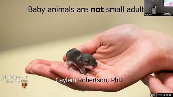Baby animals are not small adults! Proximate and ultimate mechanisms of brown adipose tissue evolution in the North American deer mouse